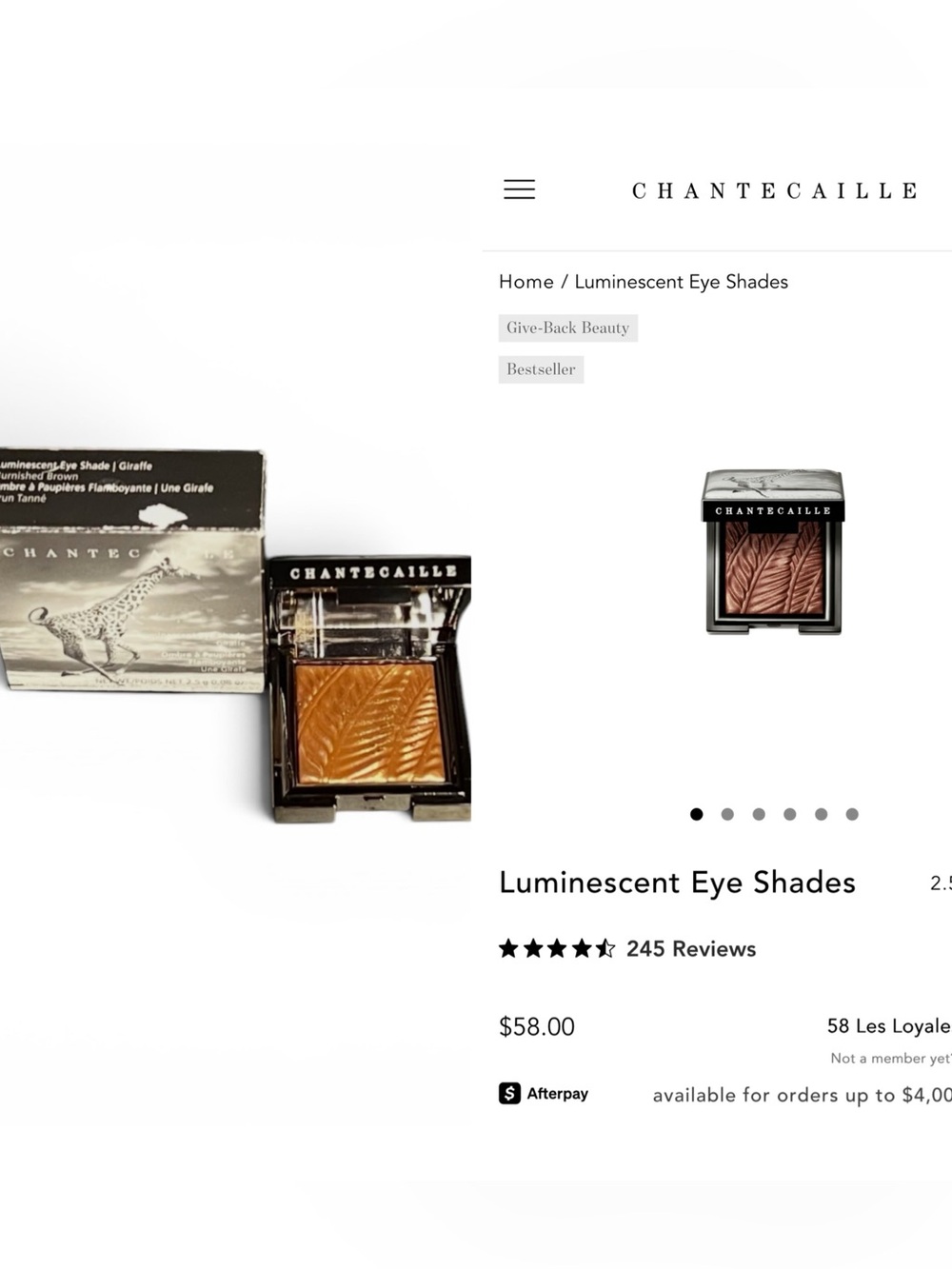 Chantecaille Luminescent Eye Shade in Giraffe Burnished Brown. MSRP $58.